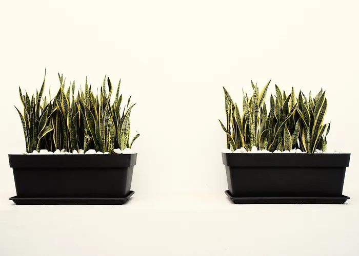 Allure Panoramic Seaviews Villa *